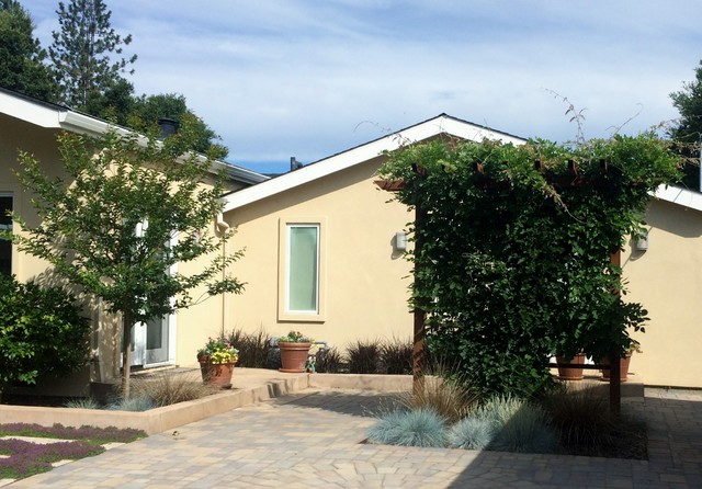Napa County contemporaneo-giardino