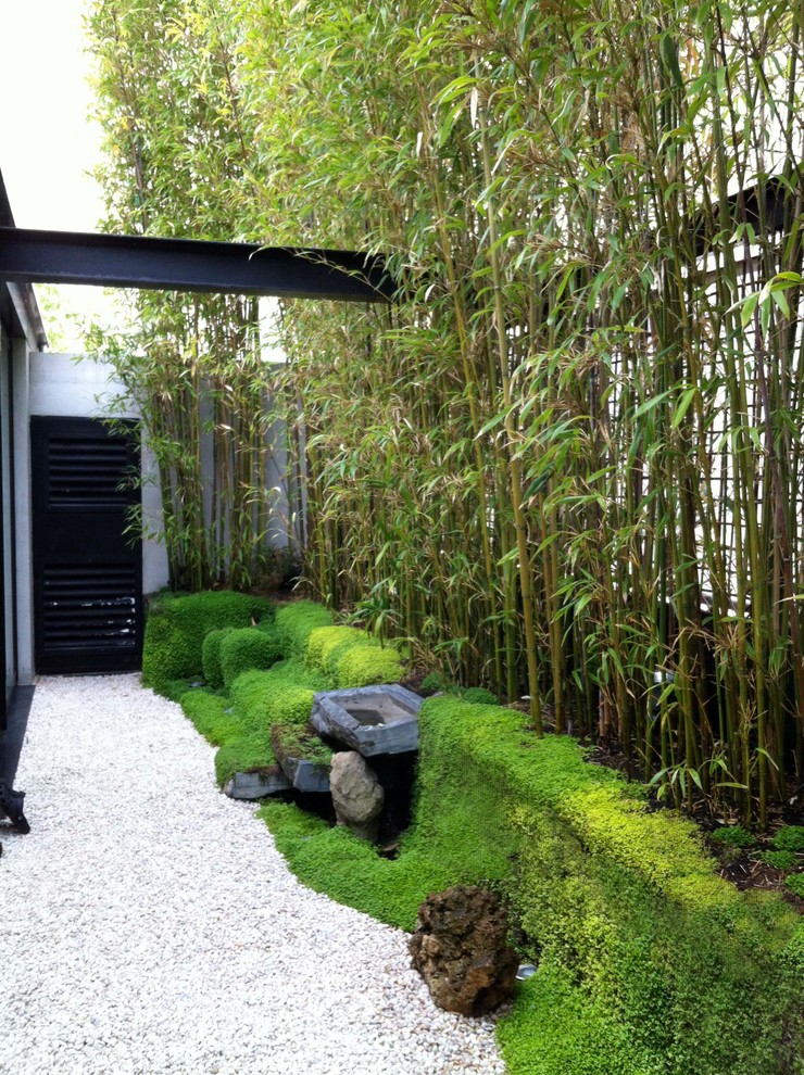 This is an example of a small asian side yard partial sun garden in Paris with a water feature.