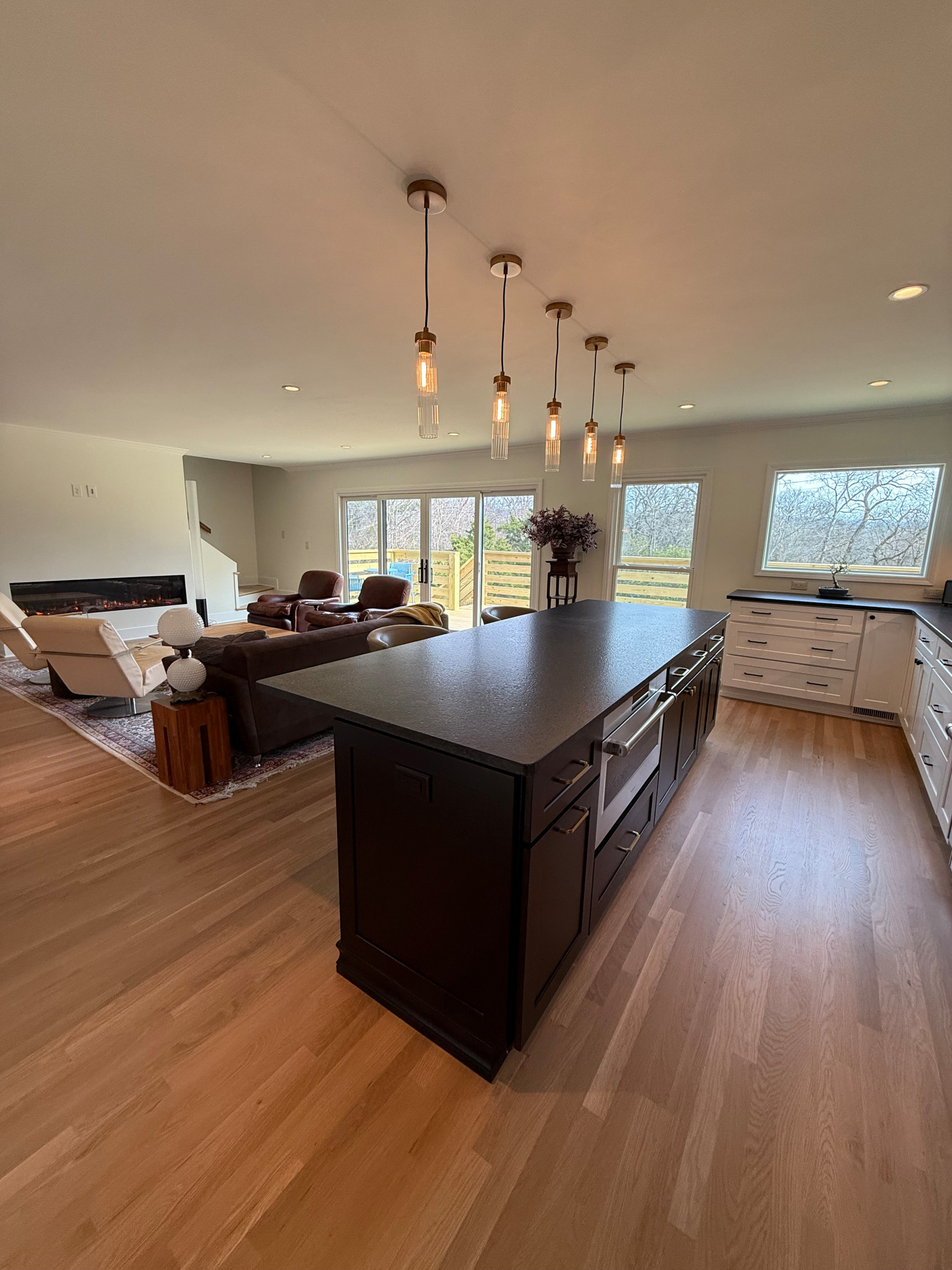 Franklin Complete Kitchen and LR Reno