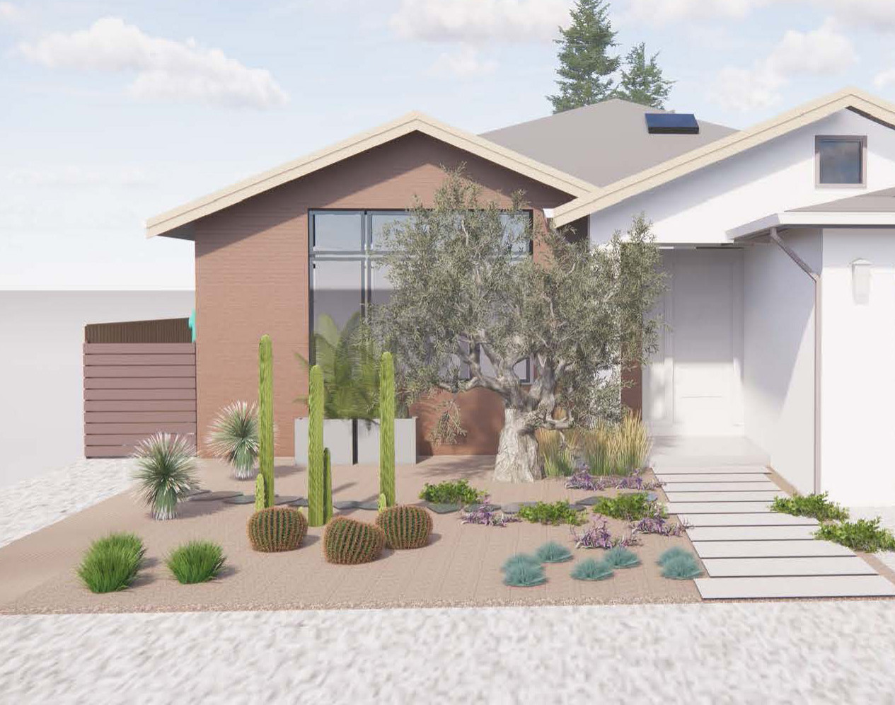 Desert Looking Front Yard