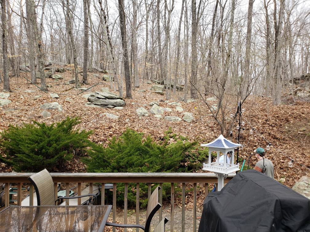 237 Chestnut Hill backyard landscaping and fire ring