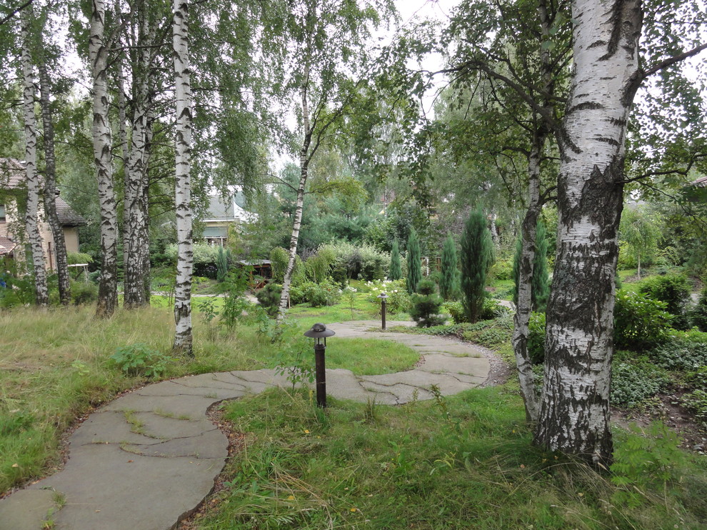 березовая роща