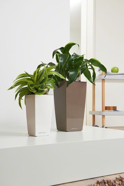 Раскройте свои планы