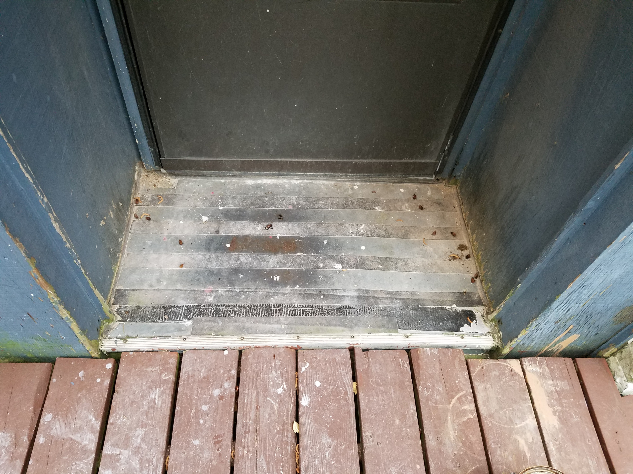 Front Door Restoration