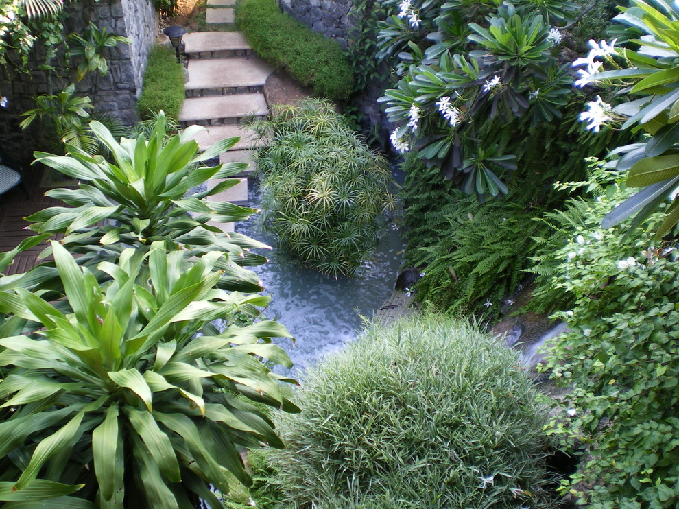 Foto på en mellanstor tropisk trädgård