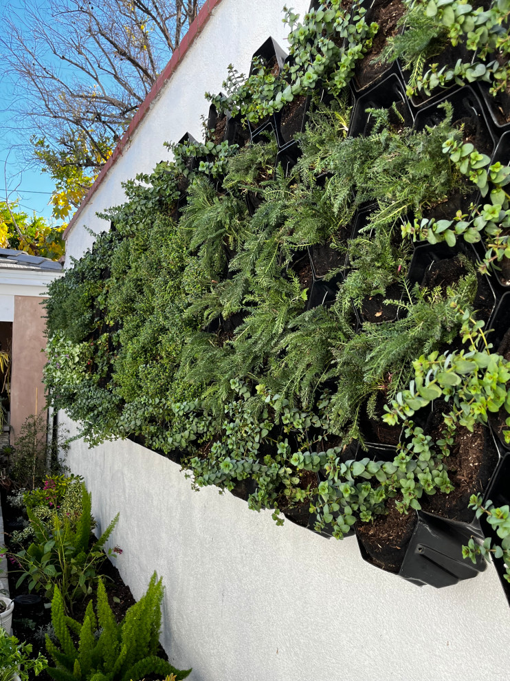 Living wall- NOT for the faint at heart