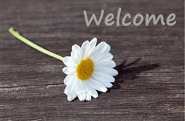 "Welcome" Daisy Gallery Door Mat, Large
