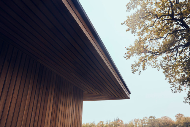 Sharp Detailing 