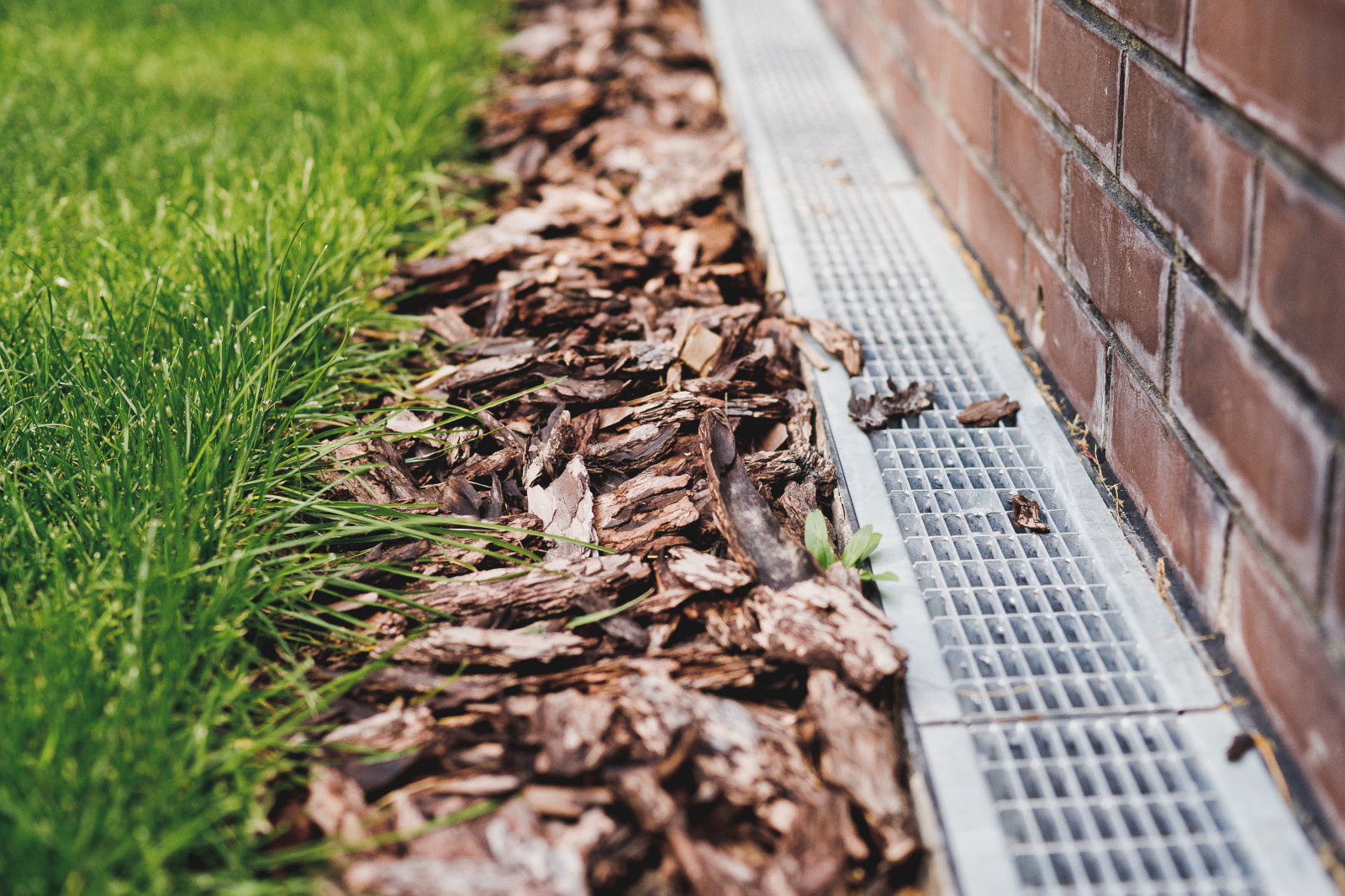 Сад на краю леса