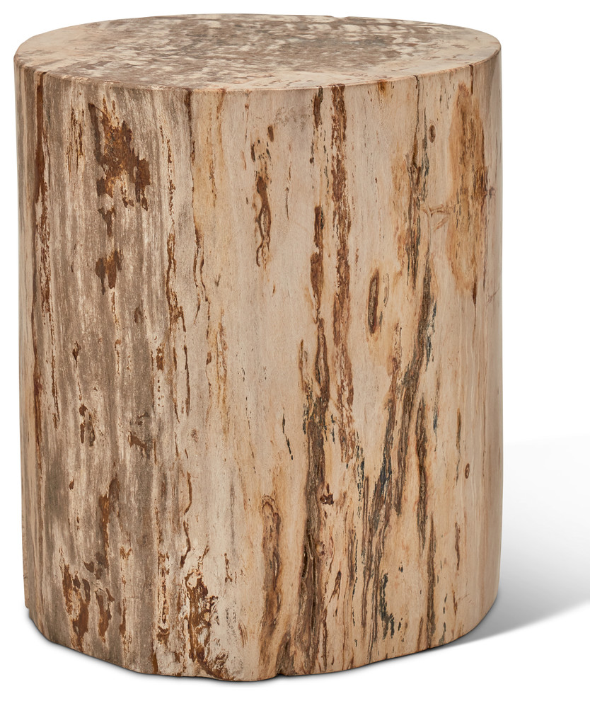 Relique Petrified Wood Stump, Fully Polished, Natural Light Rustic