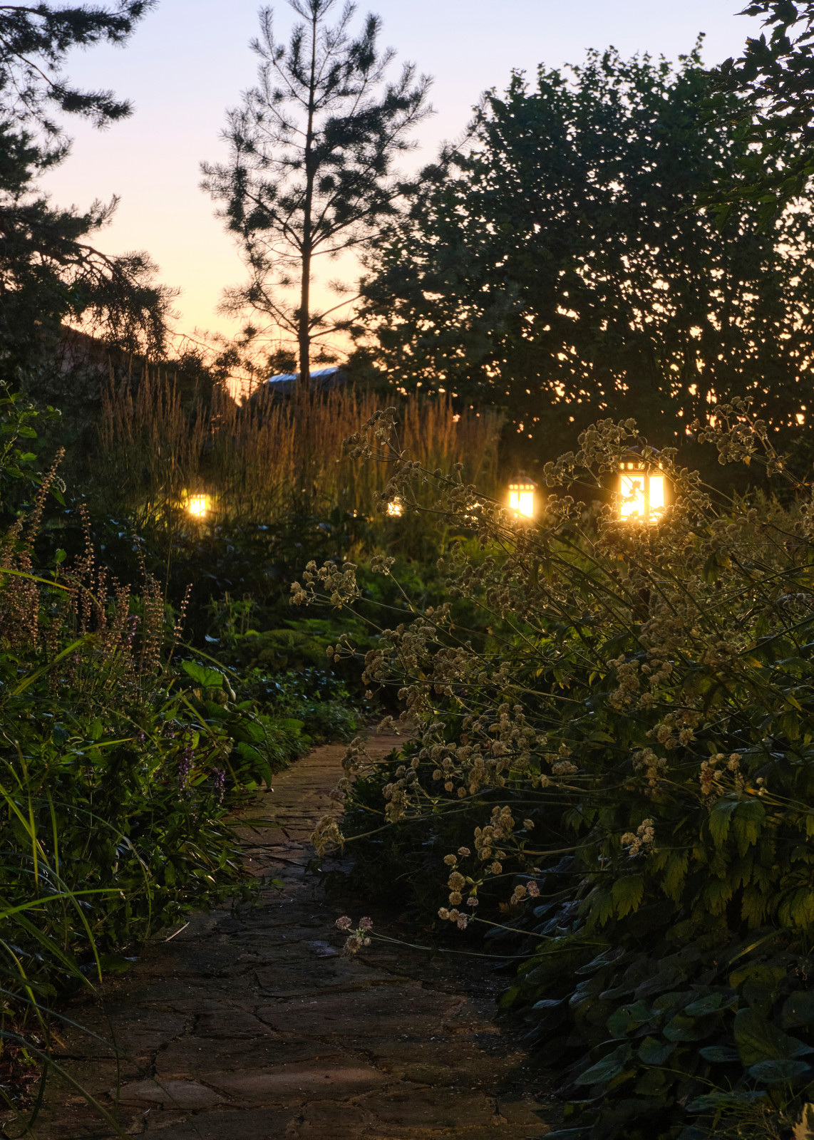 "Сад на Волге" в Тверской области