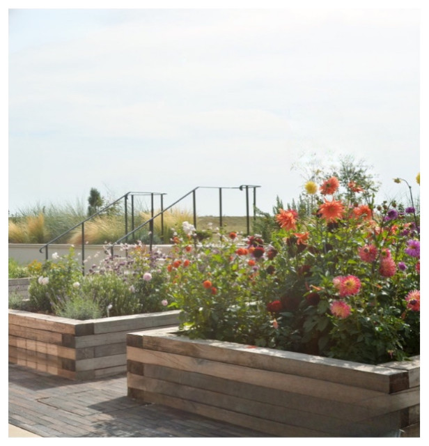 Cut Flower & Vegetable Garden coastal-garden