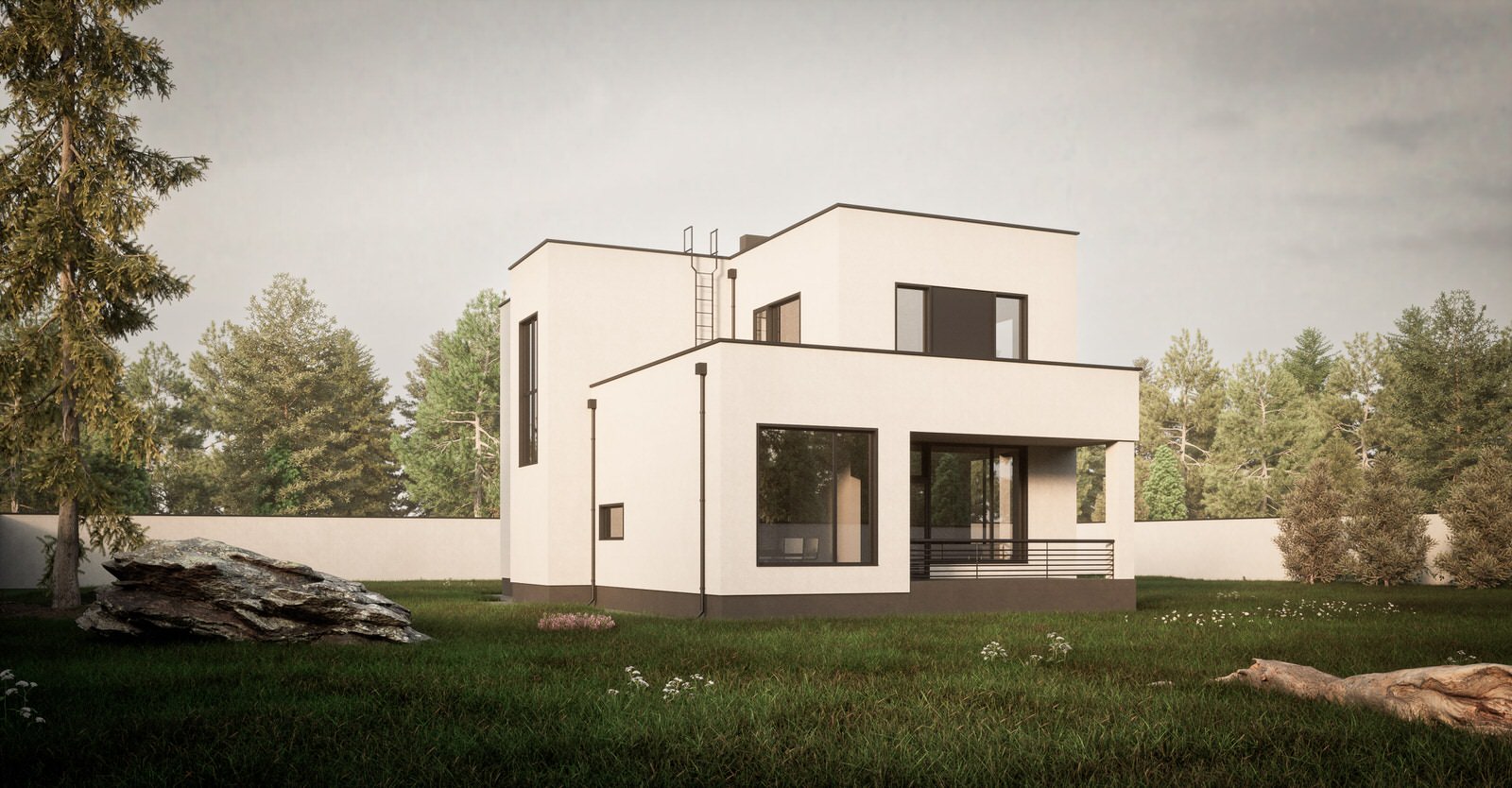 Задний двор