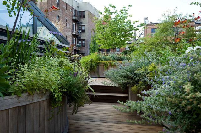 Rooftop Terrace contemporary-terrace