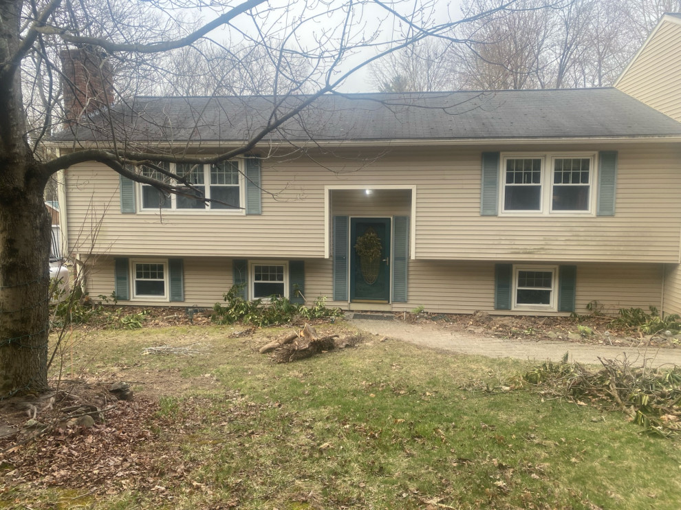 Ideas for landscaping - front of house