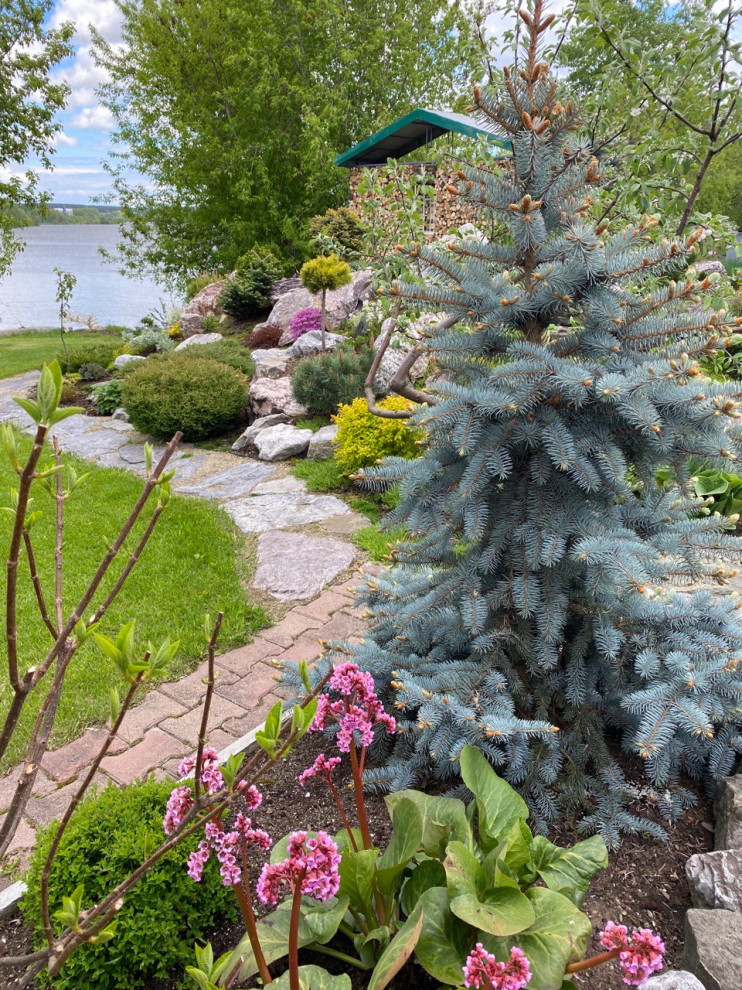 Уютный берег