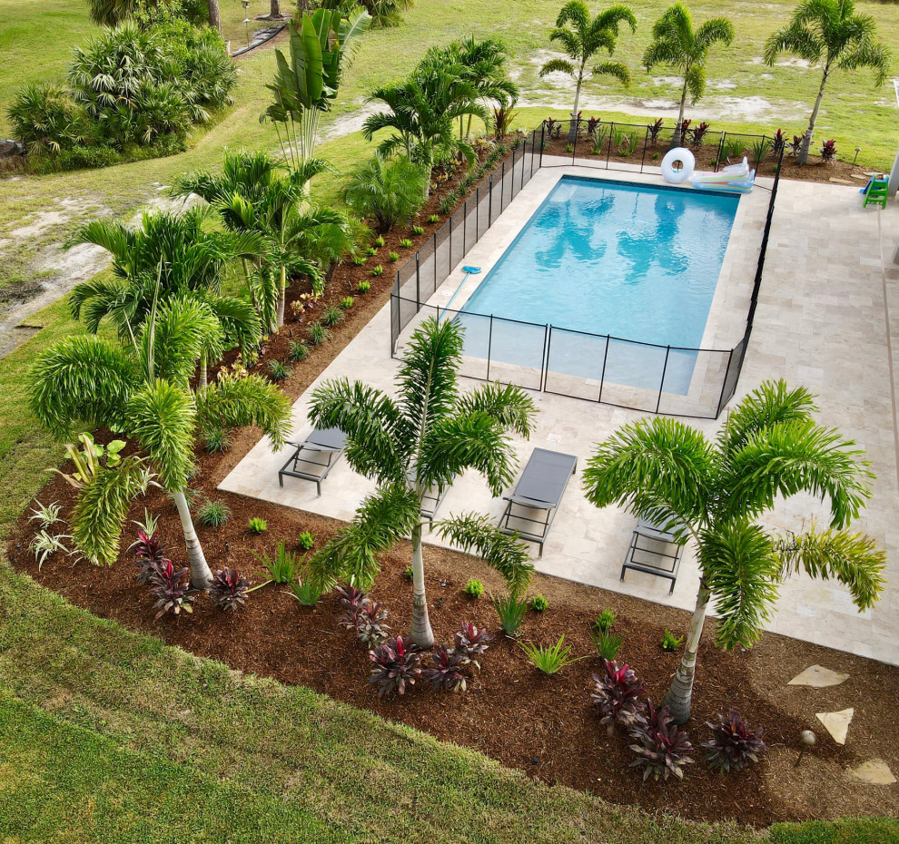 Photo of a mid-sized tropical backyard full sun formal garden in Other with with privacy feature and mulch.