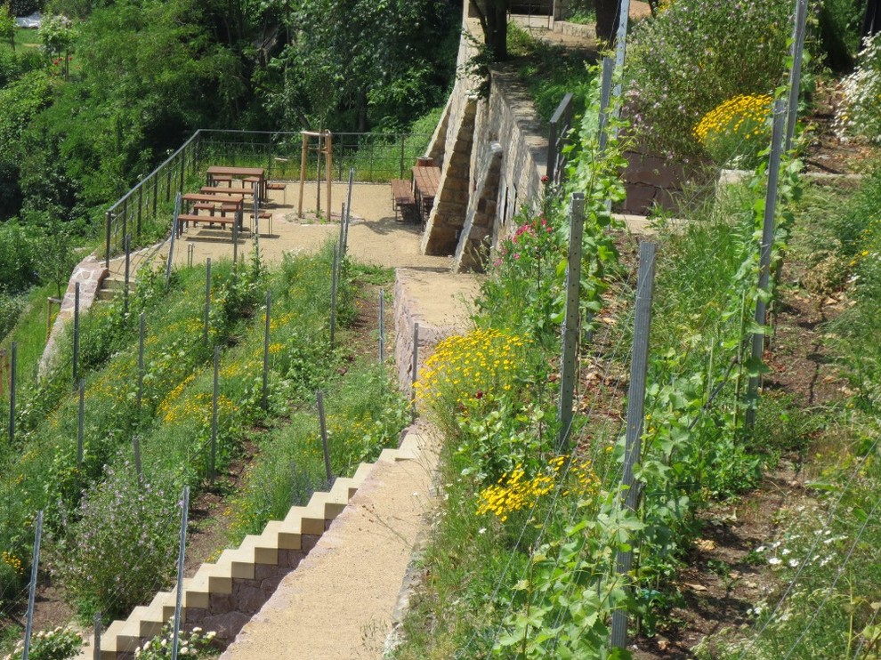 Klassischer Garten in Dresden