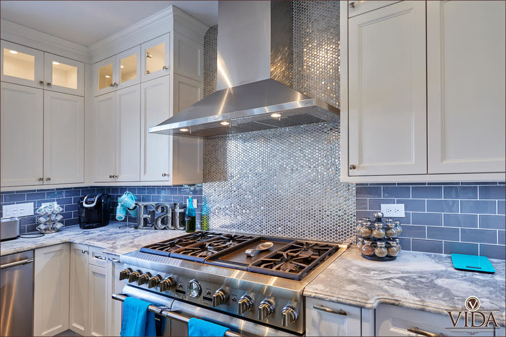 Transitional u-shaped kitchen photo in Chicago
