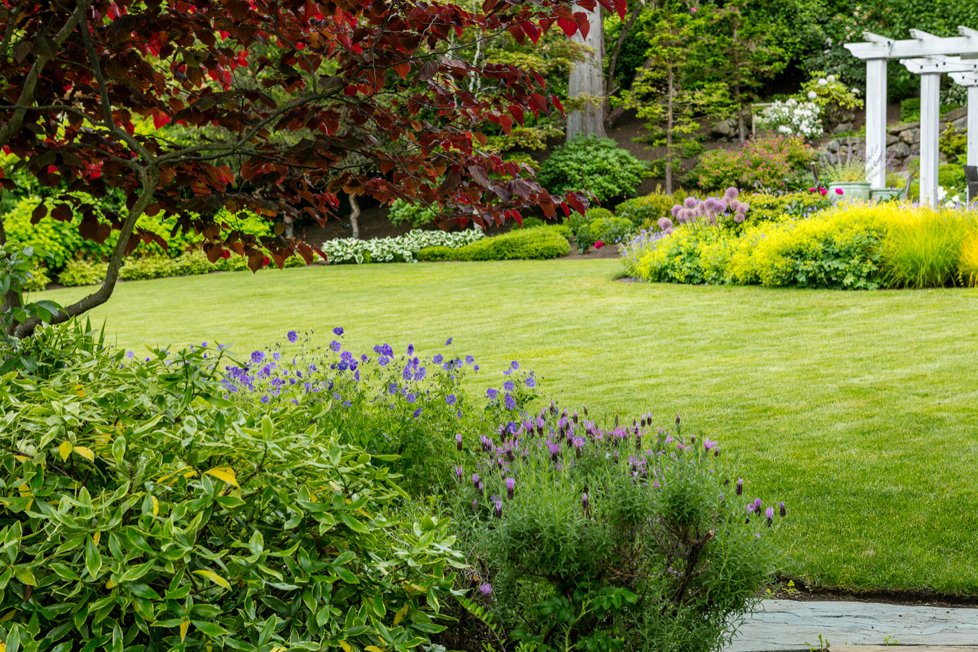 Organic Lawn Care in New Canaan,  by Peter Atkins and Associates