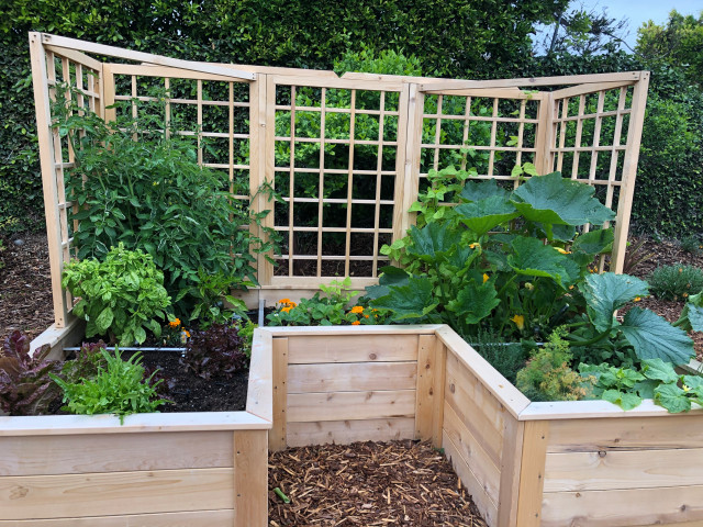 Vegetable Gardens - Traditional - Garden - Los Angeles - by Eden