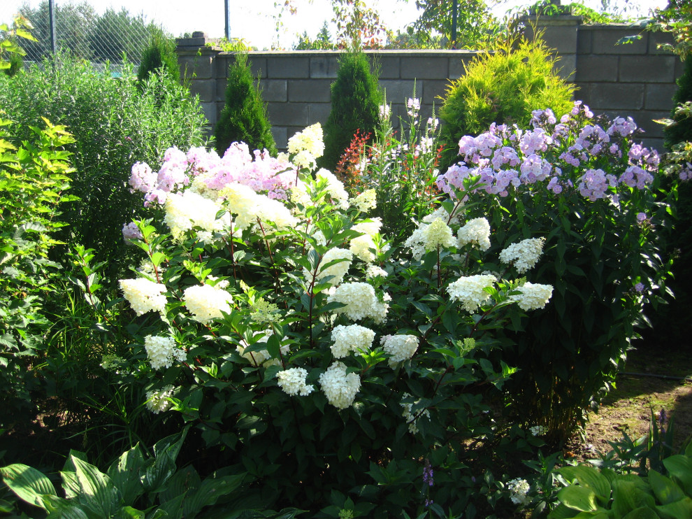 Сад и цветник в английском стиле
