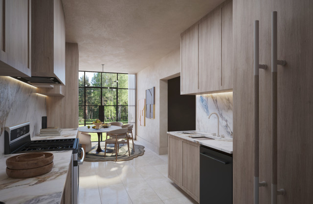 Kitchen Visualization 