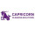 Capricorn Cleaning Solutions LLC