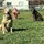 kendra_stangl