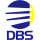 DBS Window Treatments