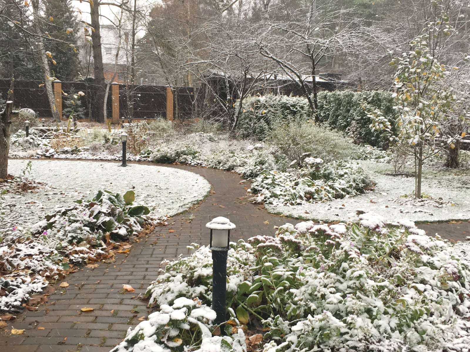 Белкин Сад. Предзимье 2019