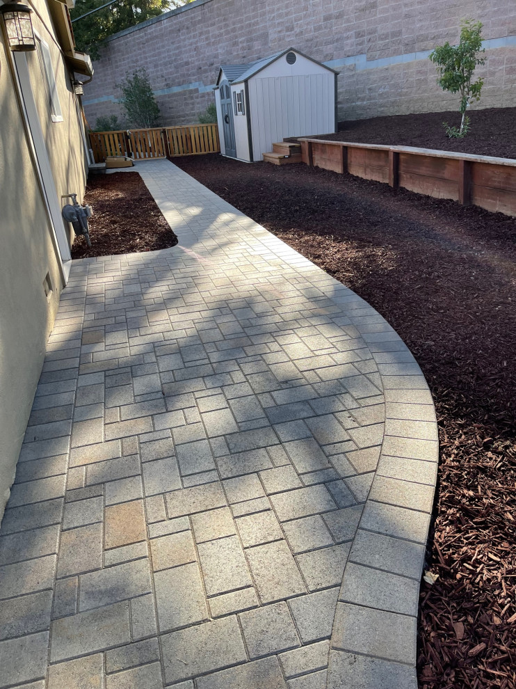 Traditional Backyard