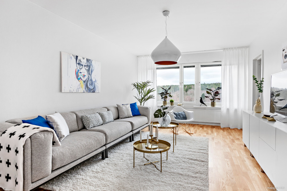 Living room - scandinavian living room idea in Other