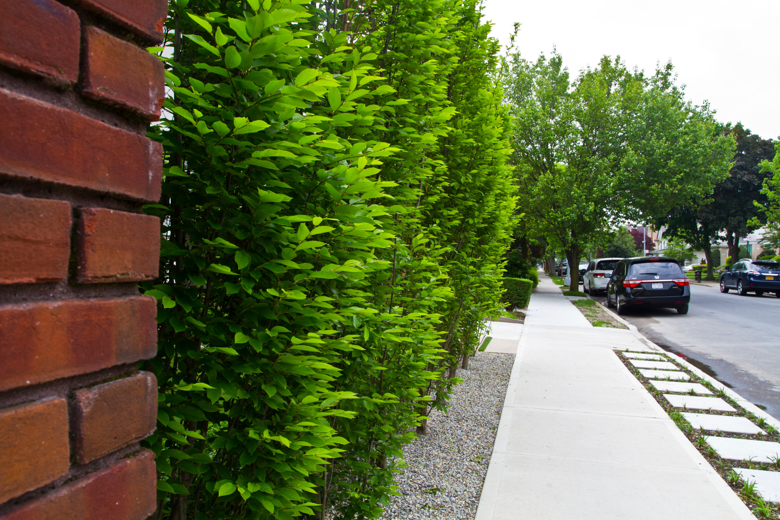 Modern Front Garden