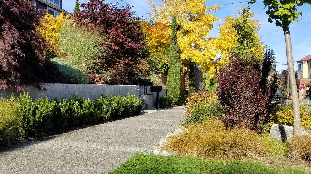 This is an example of a contemporary front yard full sun xeriscape for fall in Seattle with with rock feature and concrete pavers.