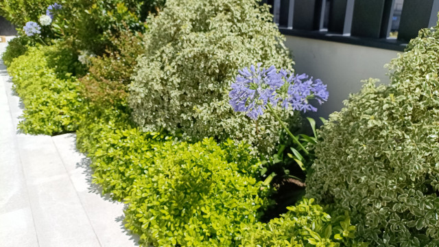 Adapt&aacute;ndose al terreno garden