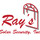Ray's Solar Security Window Film