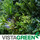 VistaGreen Vertical Garden Systems