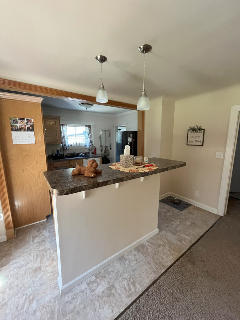 kitchen correction transitional