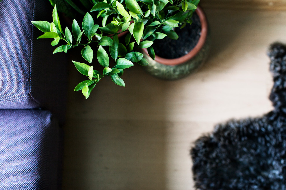 София/ дом художников