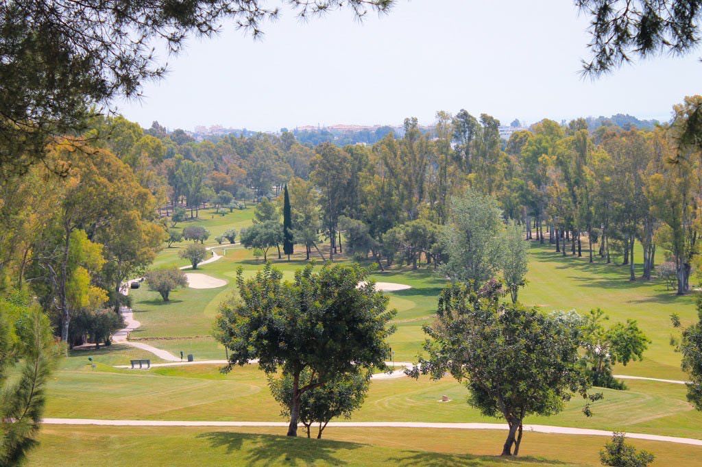 Proyecto Marbella Alquera