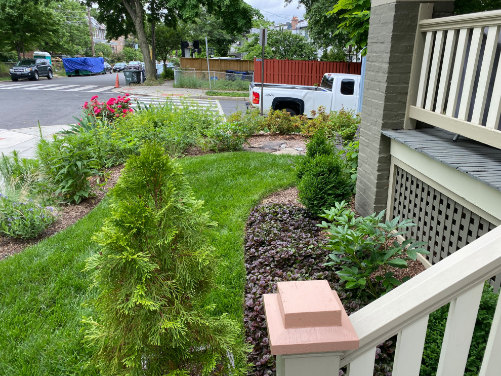 Idéer för en liten klassisk trädgård framför huset, med en trädgårdsgång