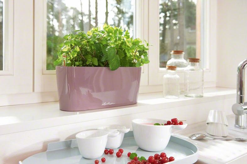 Шик на небольшой площади