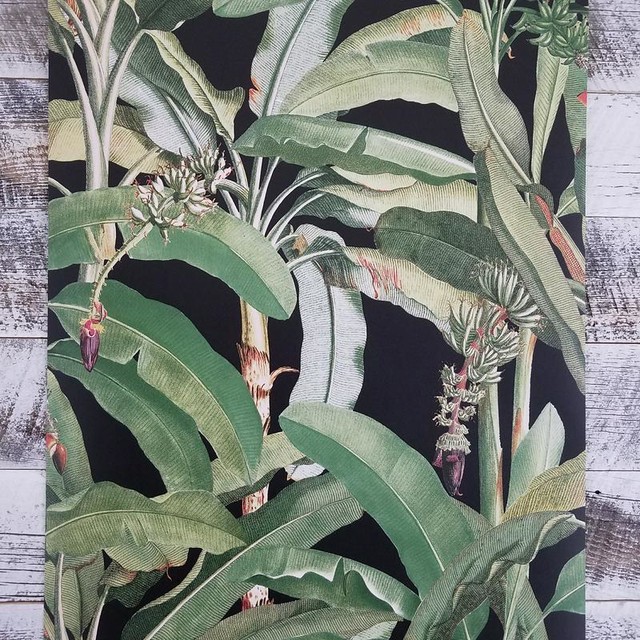 Verbazingwekkend D. Marie Interiors Tropical Banana Leaf Wallpaper for a Tropical DW-26