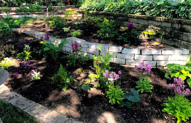 My Shade Garden Designs