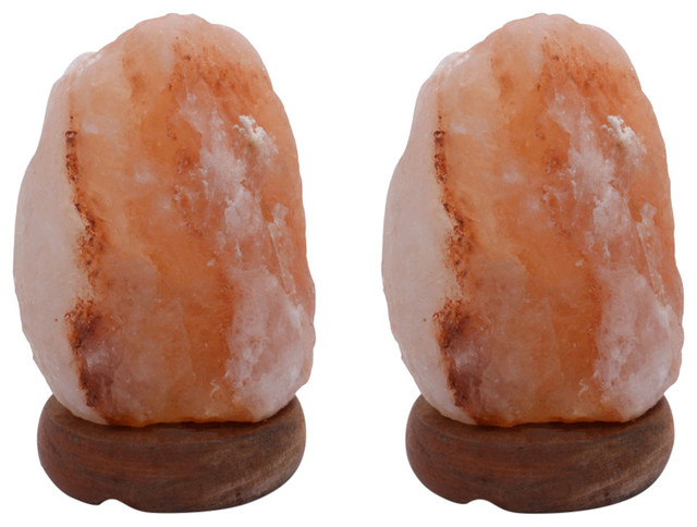 2 Piece Natural Shaped Himalayan Salt Lamp Set Dimmer 2 Piece Natural Shaped Himalayan Salt Lamp Set Dimmer Contemporary Novelty Lighting By Furniture East Inc