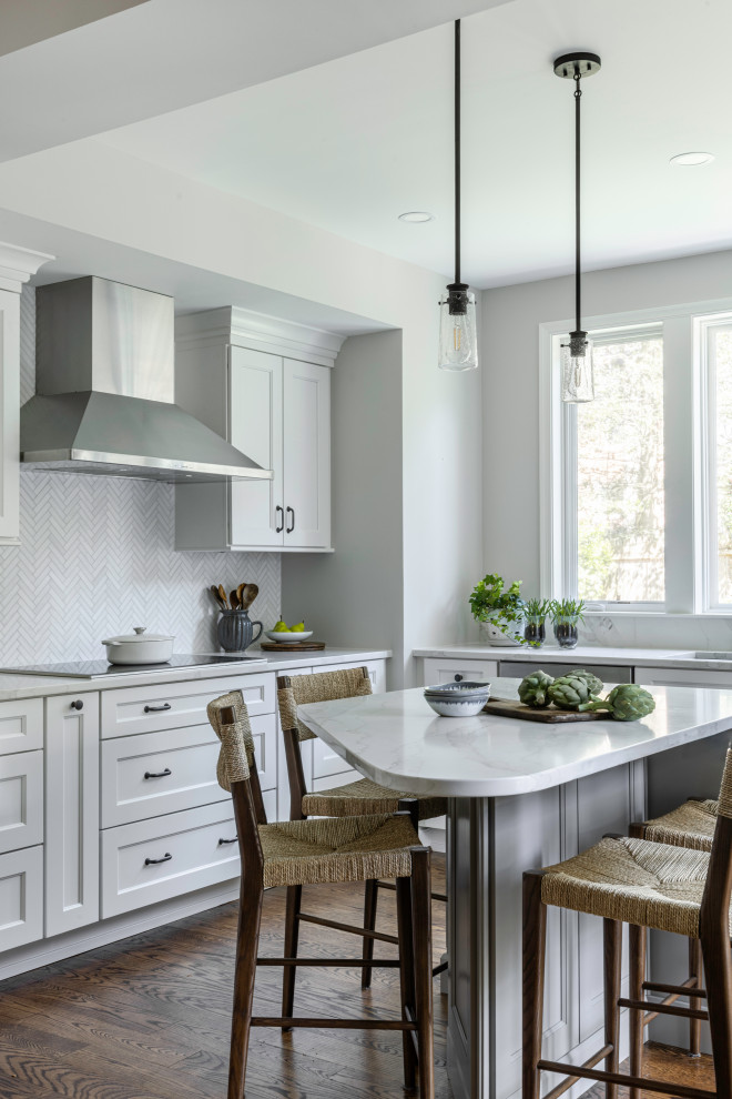 Inspiration for a transitional kitchen remodel in DC Metro