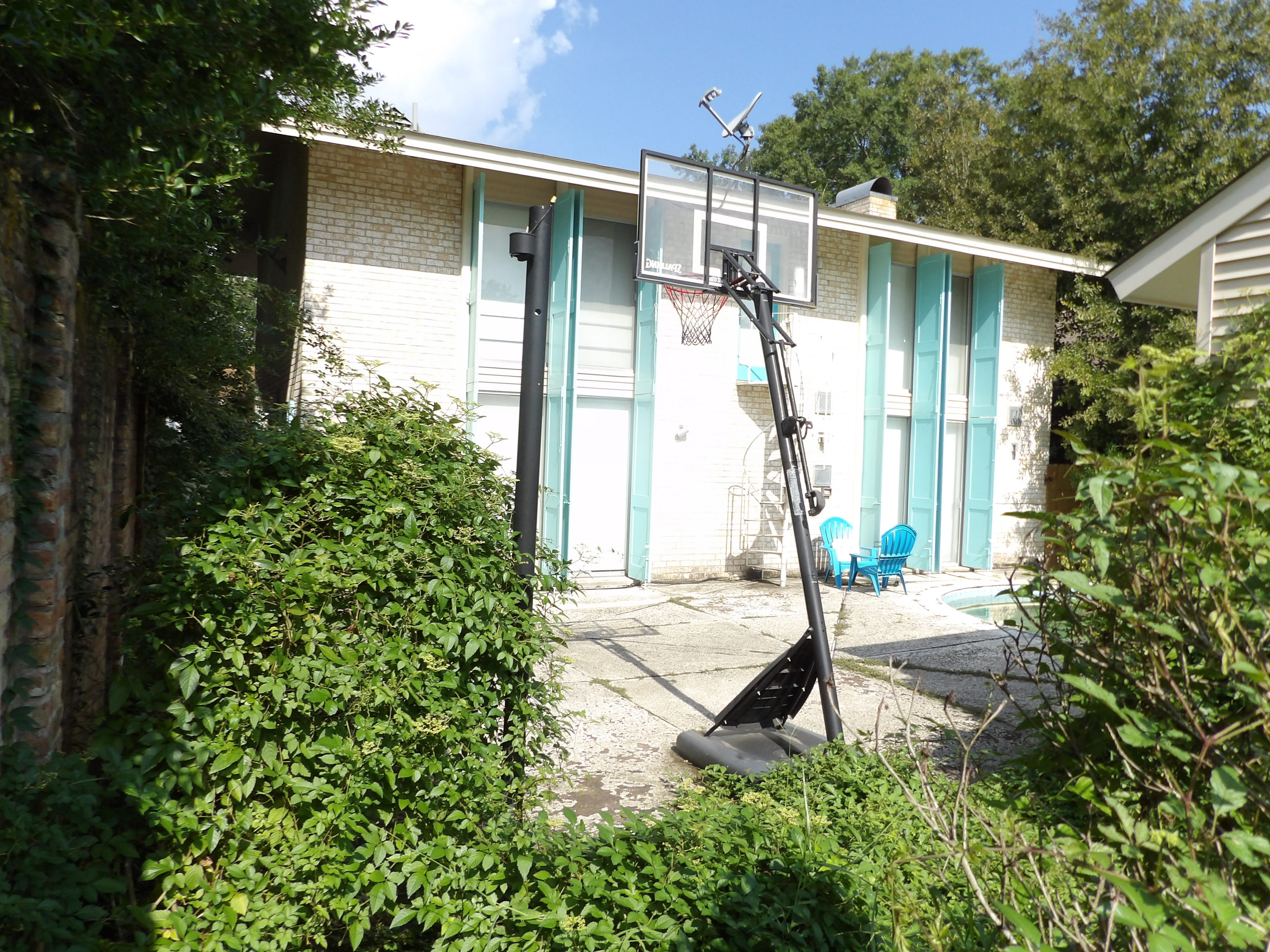 Saturated Backyard Renovation