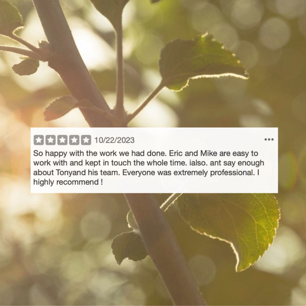 Reviews