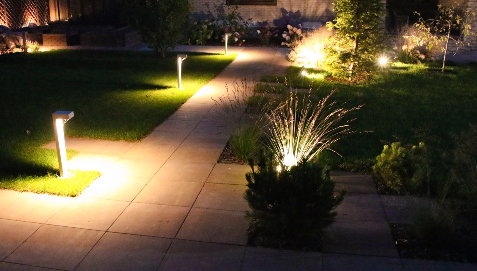 Петровское, ночной сад, 2018-2020 гг.